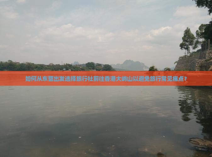 如何从东营出发选择旅行社前往香港大屿山以避免旅行常见痛点？