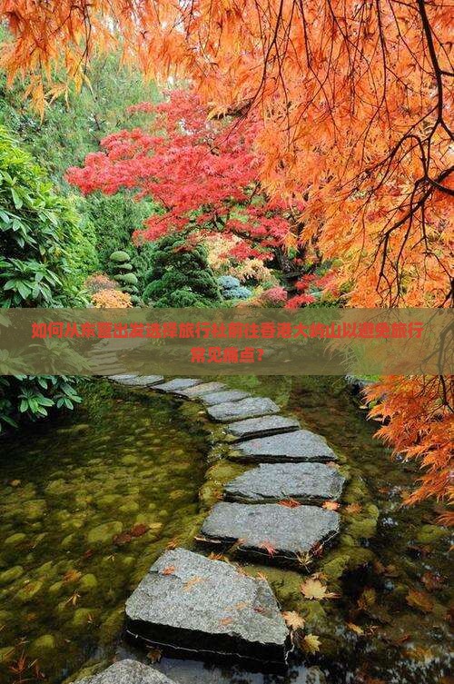 如何从东营出发选择旅行社前往香港大屿山以避免旅行常见痛点？