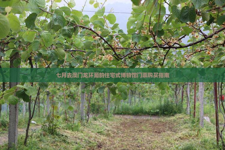 七月去澳门龙环葡韵住宅式博物馆门票购买指南 七月去澳门龙环葡韵住宅式博物馆门票购买指南