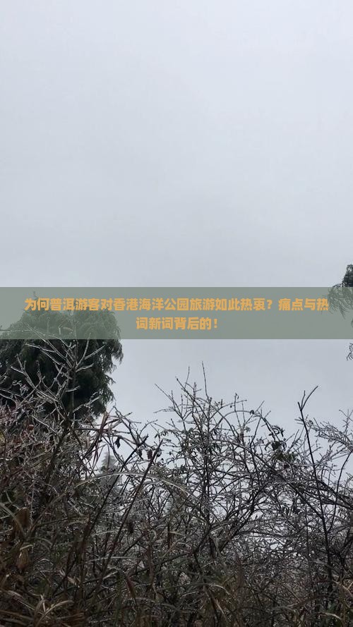 为何普洱游客对香港海洋公园旅游如此热衷？痛点与热词新词背后的！