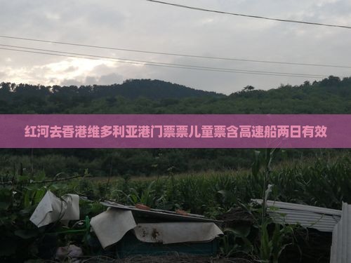 红河去香港维多利亚港门票票儿童票含高速船两日有效