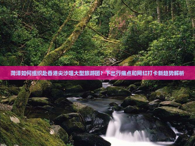 菏泽如何组织赴香港尖沙咀大型旅游团？下出行痛点和网红打卡新趋势解析