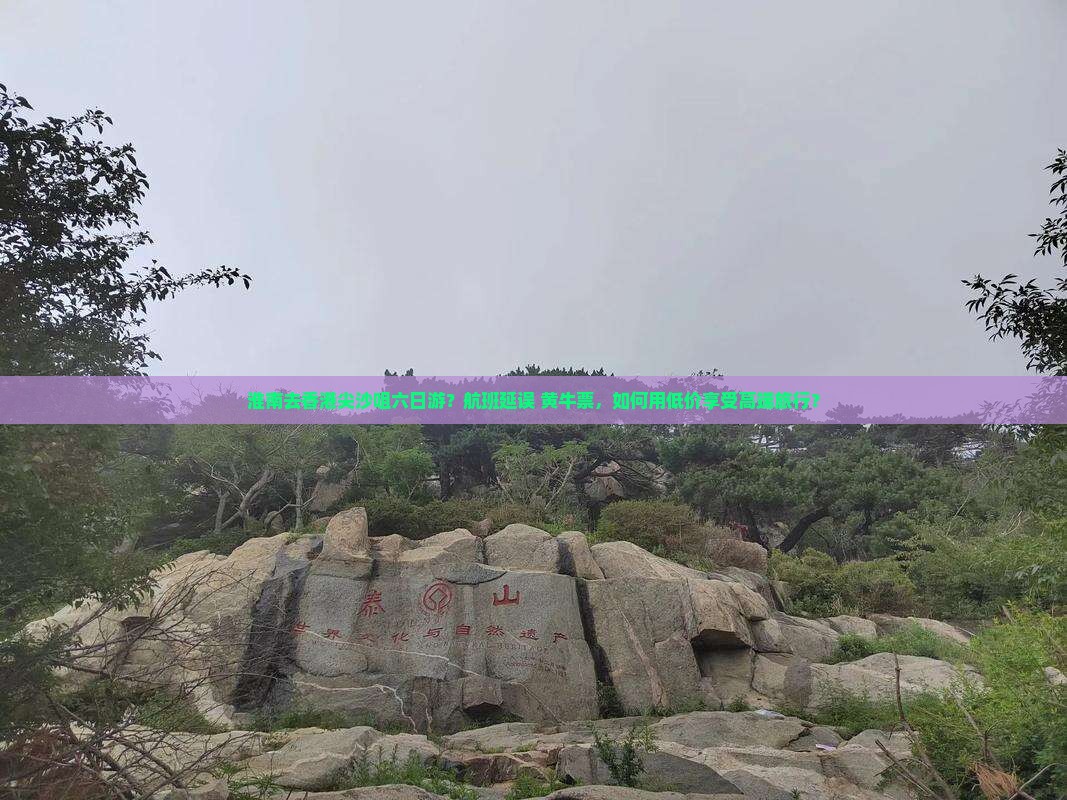 淮南去香港尖沙咀六日游？航班延误+黄牛票，如何用低价享受高端旅行？
