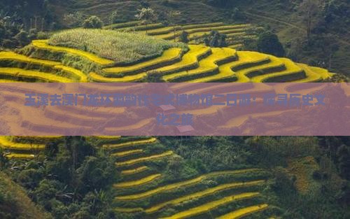 玉溪去澳门龙环葡韵住宅式博物馆二日游：探寻历史文化之旅