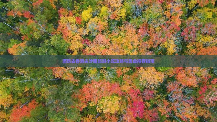 酒泉去香港尖沙咀旅游小吃攻略与美食推荐指南