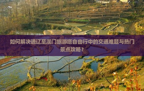如何解决通辽至澳门旅游塔自由行中的交通难题与热门景点攻略？