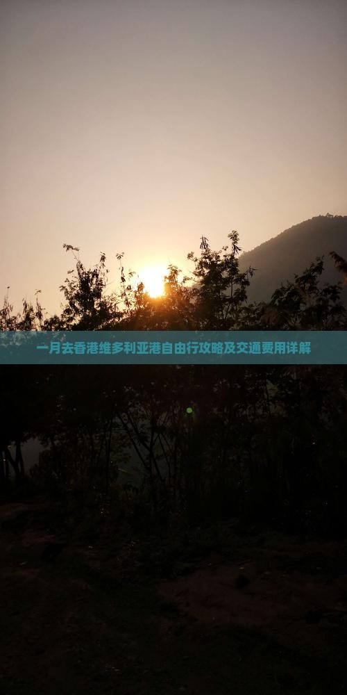 一月去香港维多利亚港自由行攻略及交通费用详解