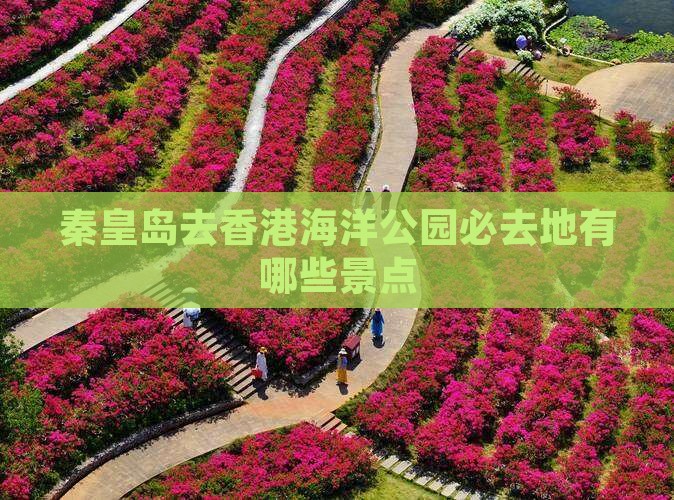 秦皇岛去香港海洋公园必去地有哪些景点