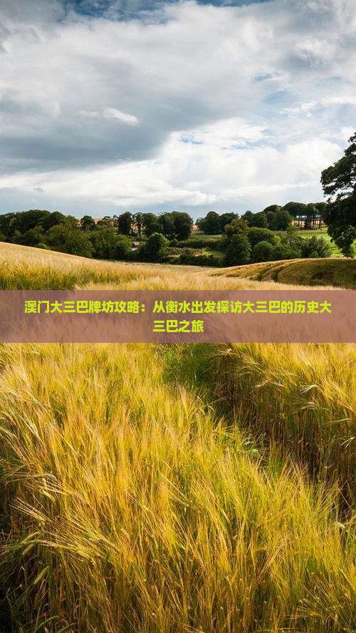 澳门大三巴牌坊攻略：从衡水出发探访大三巴的历史大三巴之旅