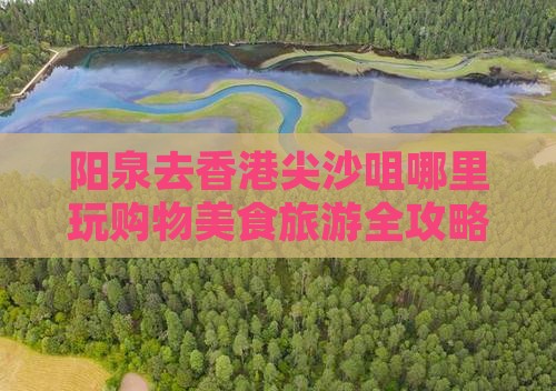 阳泉去香港尖沙咀哪里玩购物美食旅游全攻略
