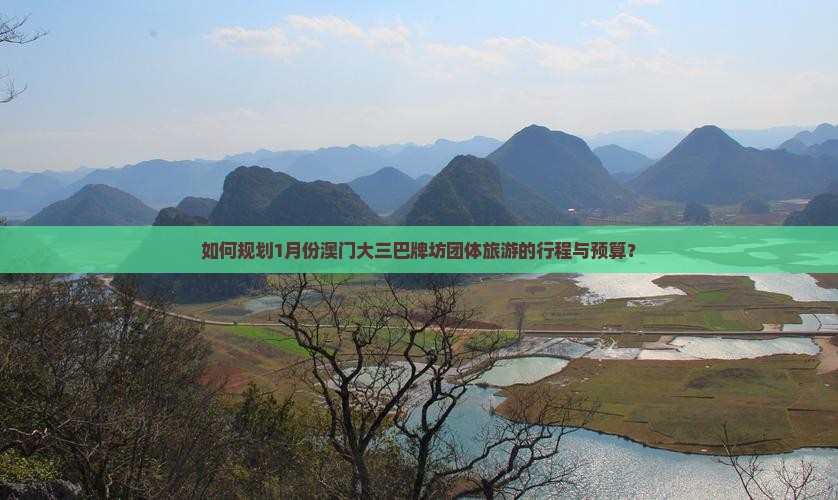 如何规划1月份澳门大三巴牌坊团体旅游的行程与预算？