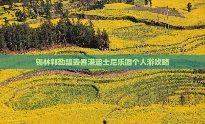 锡林郭勒盟去香港迪士尼乐园个人游攻略