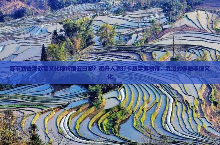 春节到香港故宫文化博物馆五日游？避开人潮打卡数字博物馆，沉浸式体验非遗文化
