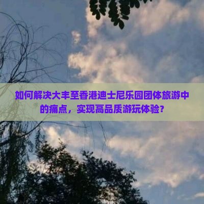 如何解决大丰至香港迪士尼乐园团体旅游中的痛点，实现高品质游玩体验？