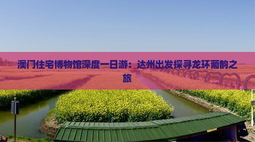 澳门住宅博物馆深度一日游：达州出发探寻龙环葡韵之旅