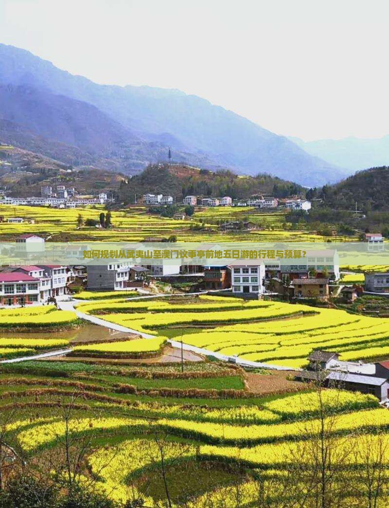 如何规划从武夷山至澳门议事亭前地五日游的行程与预算？