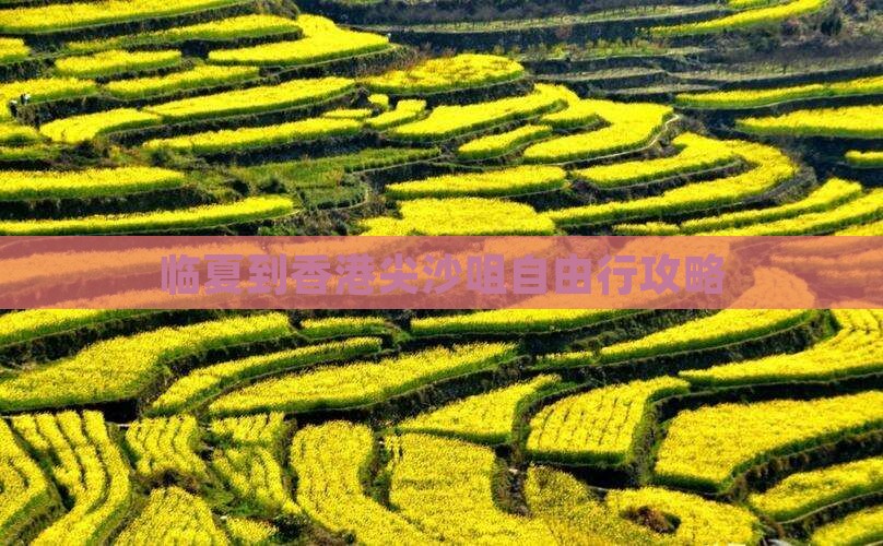 临夏到香港尖沙咀自由行攻略