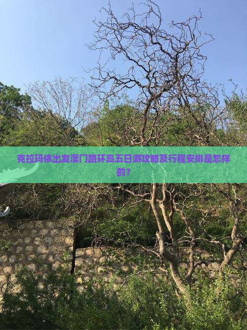 克拉玛依出发澳门路环岛五日游攻略及行程安排是怎样的？