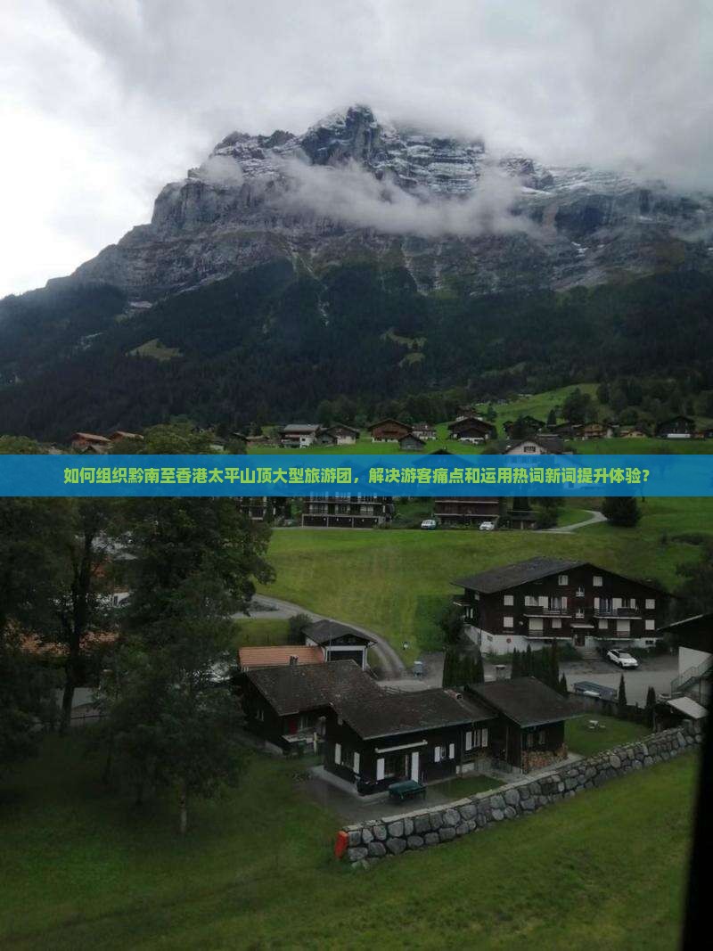 如何组织黔南至香港太平山顶大型旅游团，解决游客痛点和运用热词新词提升体验？
