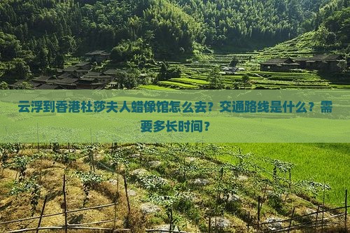 云浮到香港杜莎夫人蜡像馆怎么去？交通路线是什么？需要多长时间？
