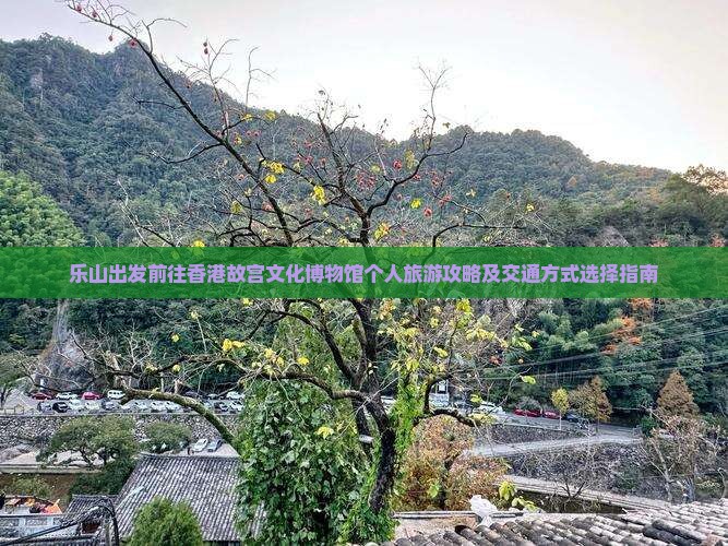 乐山出发前往香港故宫文化博物馆个人旅游攻略及交通方式选择指南
