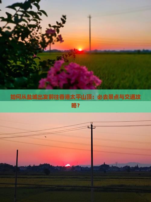 如何从盐城出发前往香港太平山顶：必去景点与交通攻略？