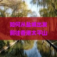 如何从盐城出发前往香港太平山顶：必去景点与交通攻略？