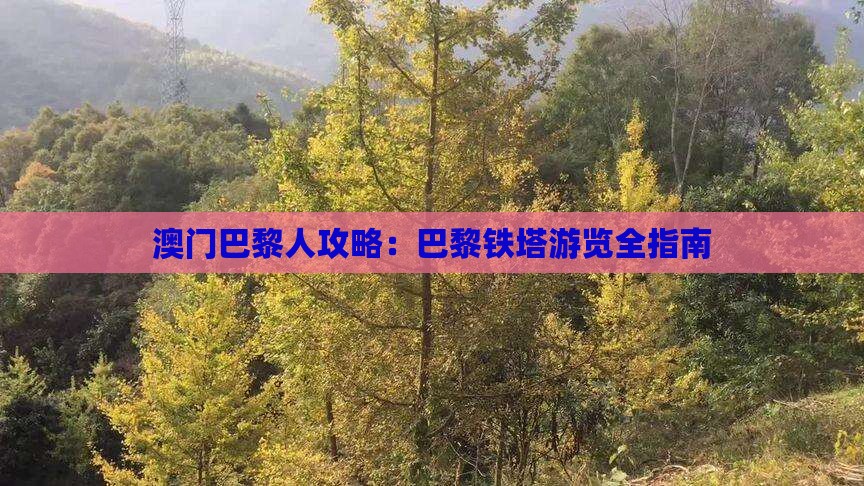 澳门巴黎人攻略：巴黎铁塔游览全指南