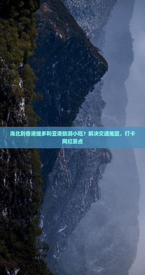 海北到香港维多利亚港旅游小吃？解决交通难题，打卡网红景点