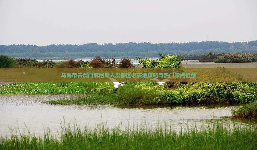 乌海市去澳门威尼斯人度假区必去地攻略与热门景点推荐