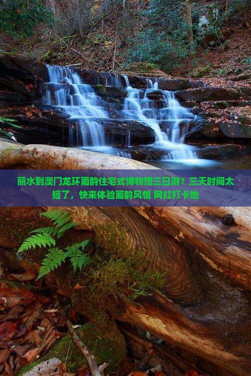 丽水到澳门龙环葡韵住宅式博物馆三日游？三天时间太短了，快来体验葡韵风情+网红打卡地