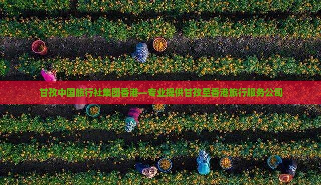 甘孜中国旅行社集团香港—专业提供甘孜至香港旅行服务公司