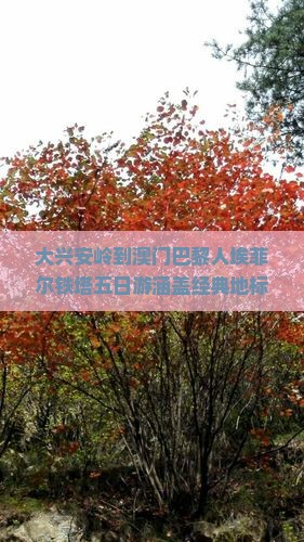 大兴安岭到澳门巴黎人埃菲尔铁塔五日游涵盖经典地标畅游体验