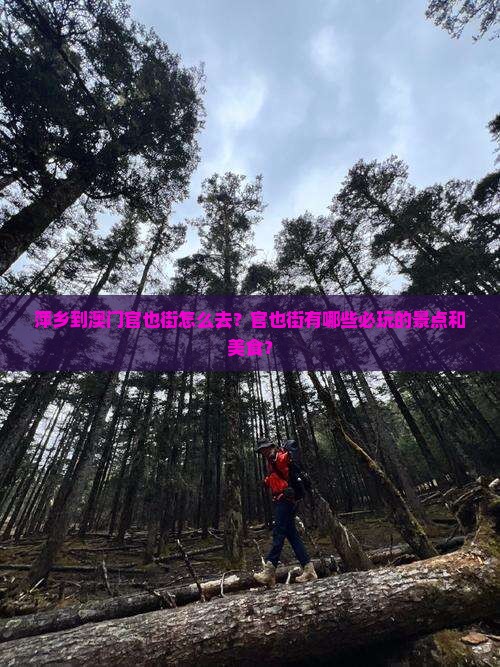 萍乡到澳门官也街怎么去？官也街有哪些必玩的景点和美食？