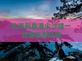 北海到香港尖沙咀一日游旅游攻略
