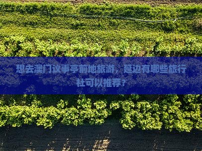 想去澳门议事亭前地旅游，延边有哪些旅行社可以推荐？