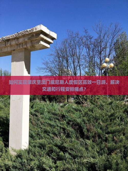 如何实现肇庆至澳门威尼斯人度假区高效一日游，解决交通和行程安排痛点？
