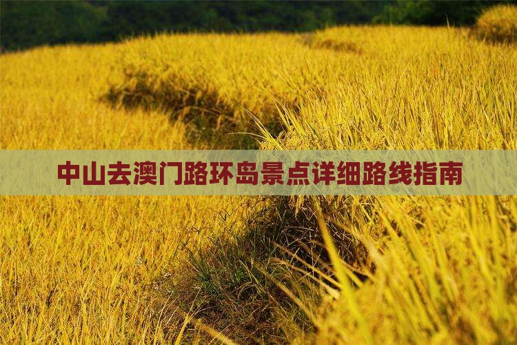 中山去澳门路环岛景点详细路线指南