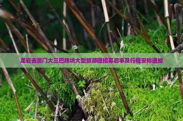龙岩去澳门大三巴牌坊大型旅游团招募启事及行程安排通知