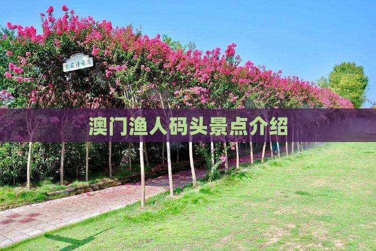 澳门渔人码头景点介绍