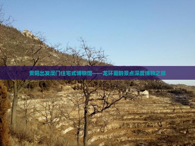 贵阳出发澳门住宅式博物馆——龙环葡韵景点深度博物之旅