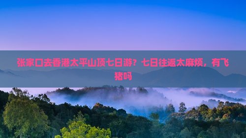张家口去香港太平山顶七日游？七日往返太麻烦，有飞猪吗