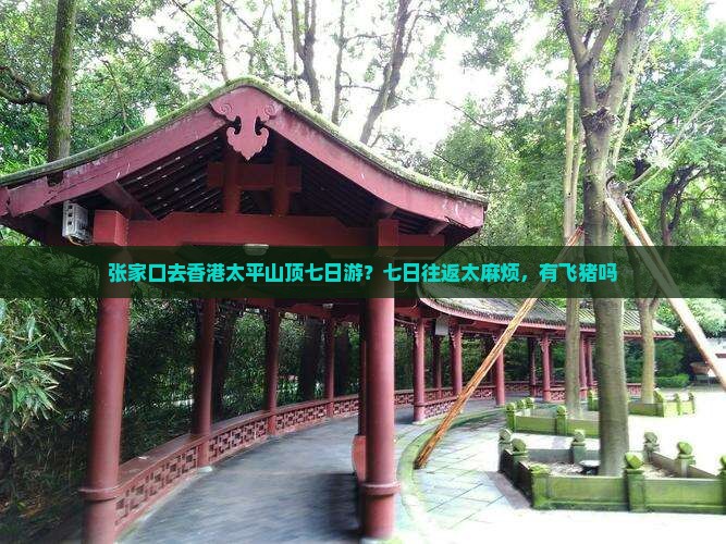 张家口去香港太平山顶七日游？七日往返太麻烦，有飞猪吗