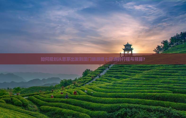 如何规划从思茅出发到澳门旅游塔七日游的行程与预算？