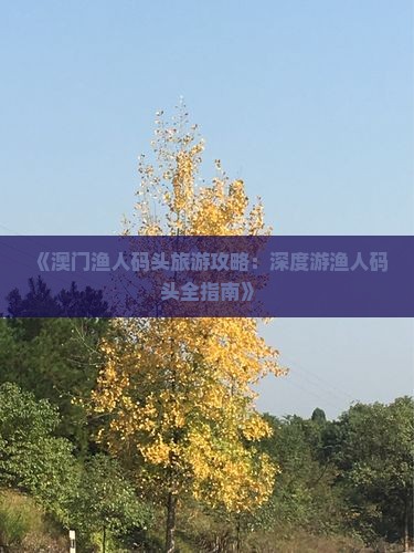 《澳门渔人码头旅游攻略：深度游渔人码头全指南》