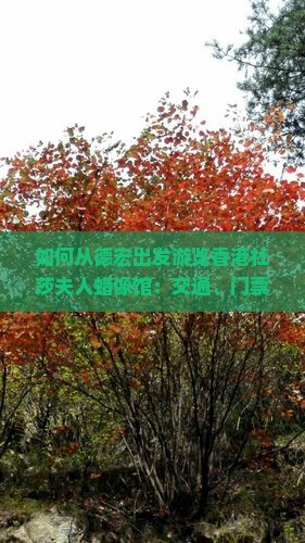 如何从德宏出发游览香港杜莎夫人蜡像馆：交通、门票、亮点一站式攻略？