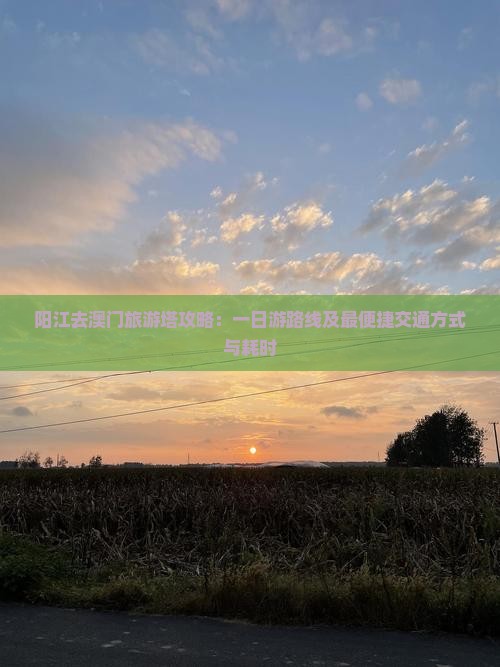 阳江去澳门旅游塔攻略：一日游路线及最便捷交通方式与耗时