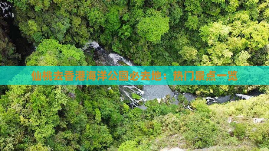 仙桃去香港海洋公园必去地：热门景点一览