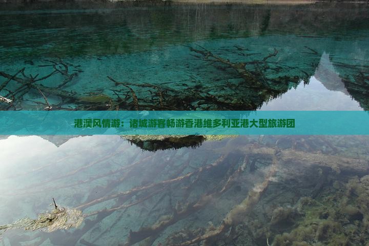 港澳风情游：诸城游客畅游香港维多利亚港大型旅游团