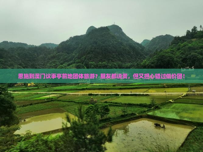 恩施到澳门议事亭前地团体旅游？朋友都说贵，但又担心错过低价团！